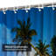 Cocotiers, plage tropicale, nuit d'été, éclairs, nuages dramatiques avec 12 crochets-534501494