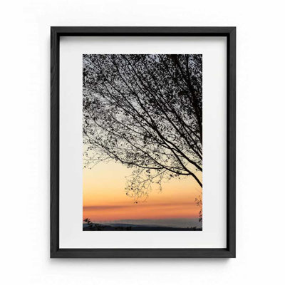 Sunset Tree Print by Joseph Regan