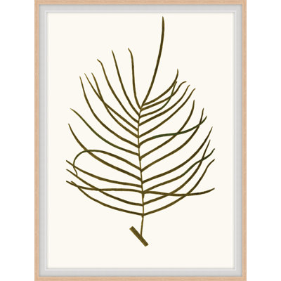 Elevated Undergrowth 2 Print