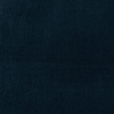 Whistler Velvet Fabric