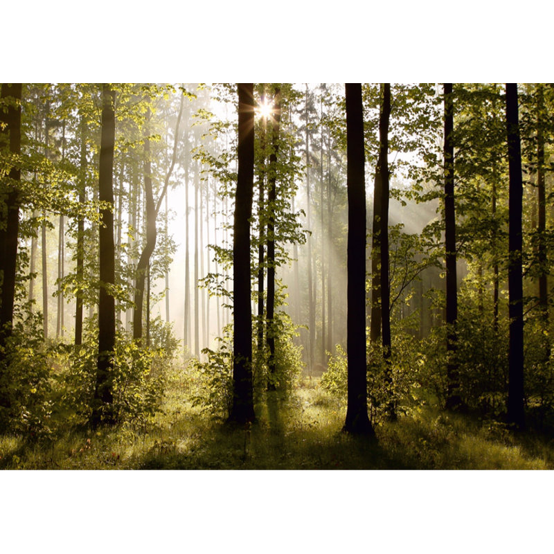 Murale l 11,8 po x l 106 po de la forêt Oakridge