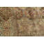 Wool Oriental Area Rug in Brown/Green/Rust