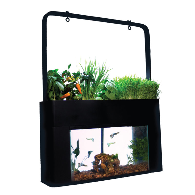 AquaSprouts Garden