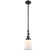 Alexandira 1 - Light Single Pendant