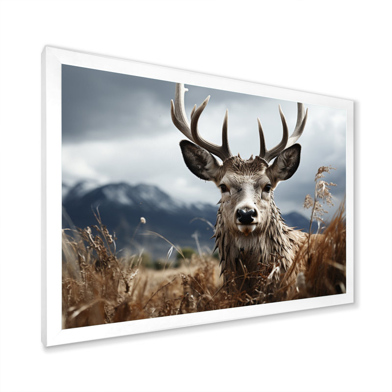 Photographie de cerf monochrome III - animaux, Cadre simple blanc, H 34 po x l 44 po x P 1,5 po