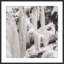 Snowscape 7 Print by Studio L57 Narrative-985309857