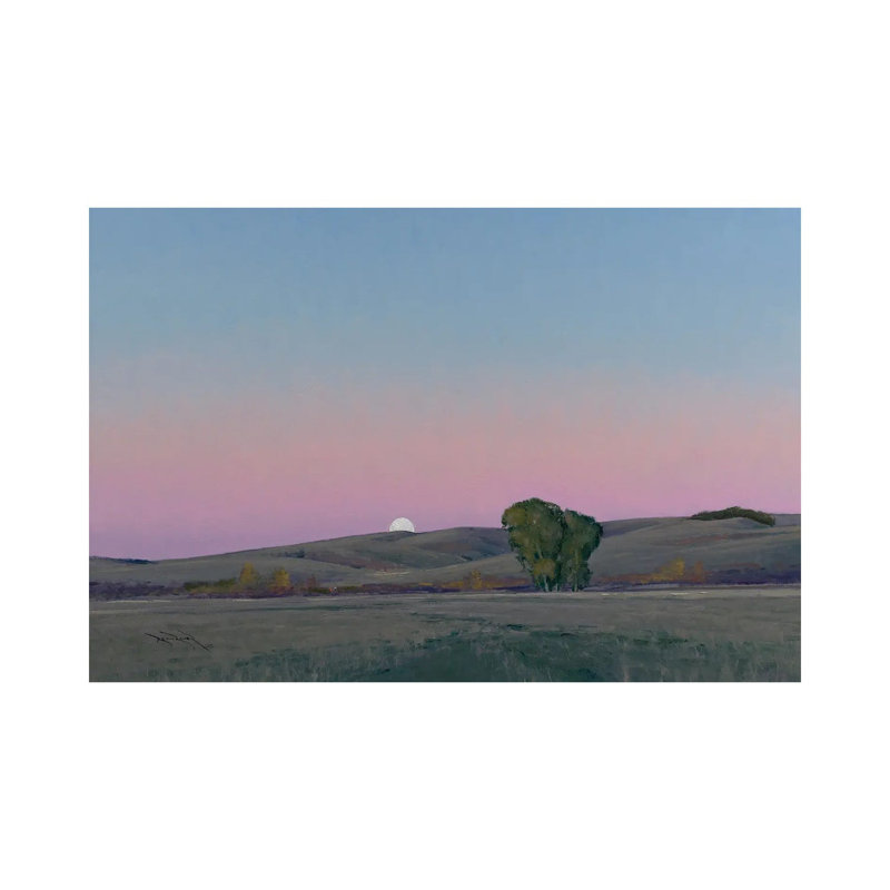 Moonrise In Lowry MN by Ben Bauer - Wrapped Canvas Print, 20.32 cm H x 30.48 cm W