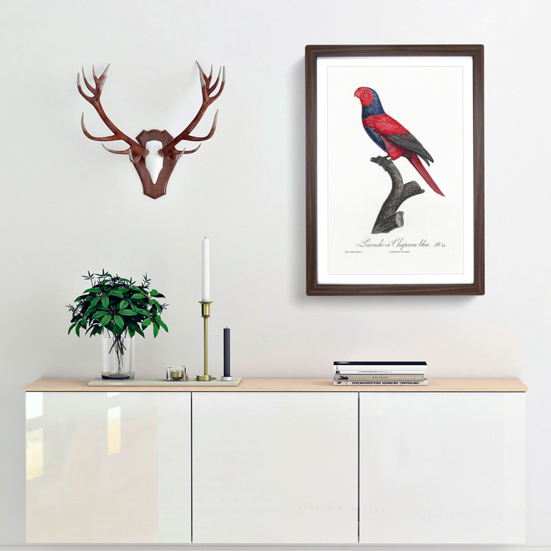 Violet-Necked Lory by F. Levaillant - Picture Frame Painting Print, 65cm H x 48cm W x 2cm D, Walnut Framed
