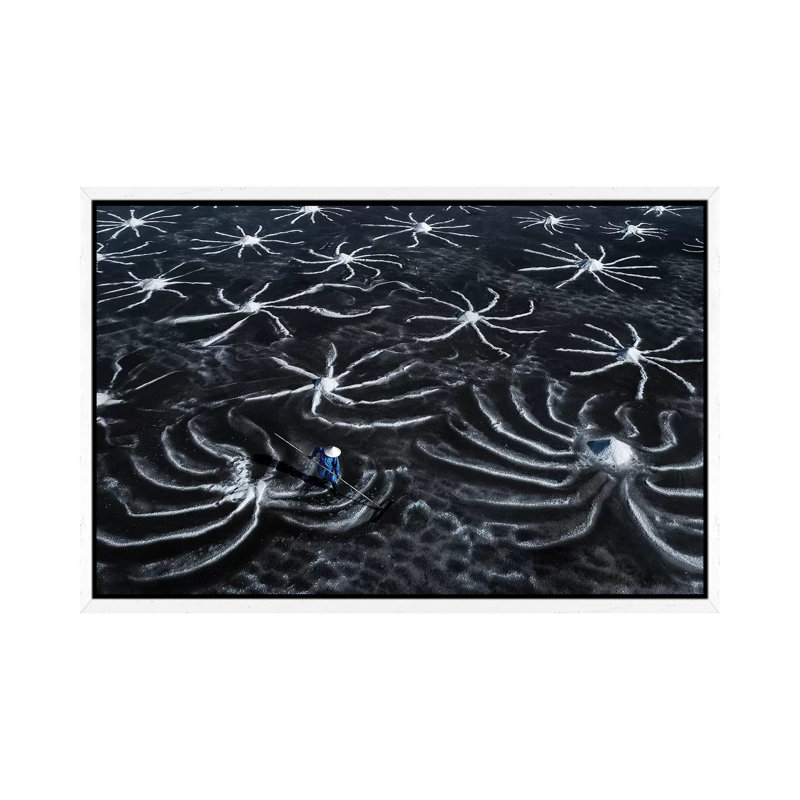 Salt Field 1 Piece Wall Art on Canvas, 66.04 cm H x 45.72 cm W, White Framed