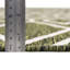 Tapis d'extérieur Destiny-1648328272