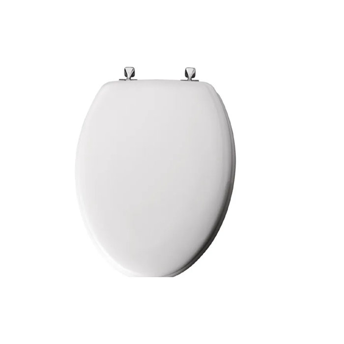 Mayfair Elongated Toilet Seat and Lid & Reviews | Wayfair