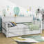 Dalen Twin Size Daybed with 3 Drawers-1693256147