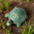 Grande tortue sarcelle est en rupture de stock