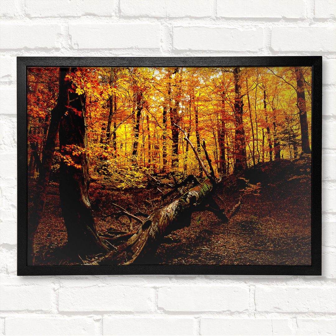 Autumn Forest Seat - Closed Corner Frame Kunstdrucke auf Holz