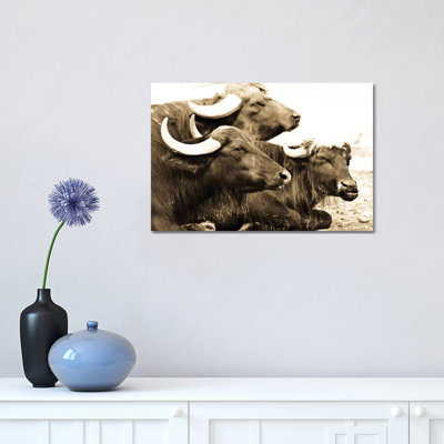 Bisons I by Goran Anastasovski - Wrapped Canvas Print