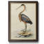 Antique Heron II - peinture sur toile encadrée-1906652462