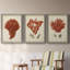 Antique Red Coral I - ensemble de 3 peintures sur toile encadrées-439793266-439793164