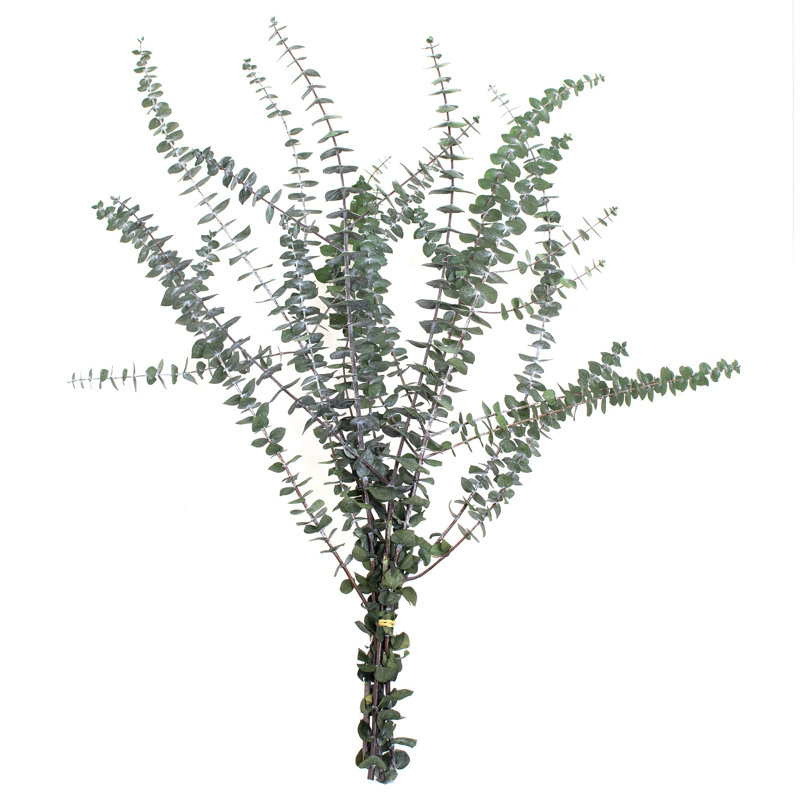 30'' Branch, Green