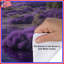 Housses de couette Lavender Mountain Landscape-126404558