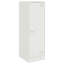 Alyda Steel Accent Cabinet-893228395