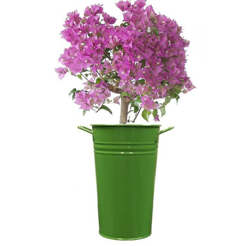 Vase de table en émail galvanisé, H 9,5 po x l 6,5 po x P 6,5 po, Vert pomme