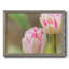 " Blush "-1630402953-1630402952