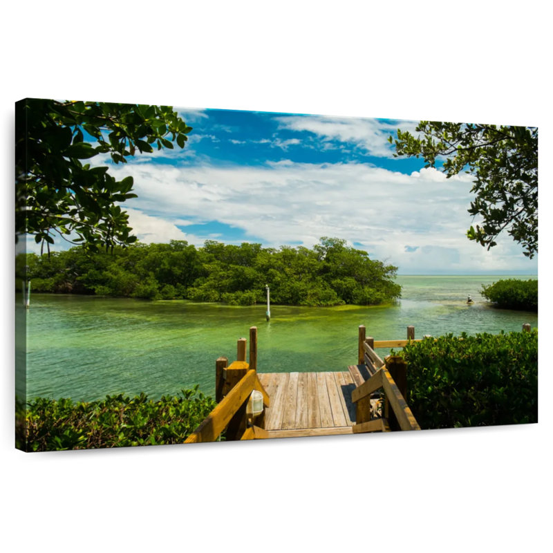 Mangrove de Gillard, Florida Keys, H 26 po x l 39 po