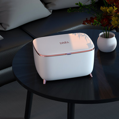 Lvara Countertop Mini Fridge