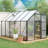 Outdoor Patio Greenhouse-117982467-121293994