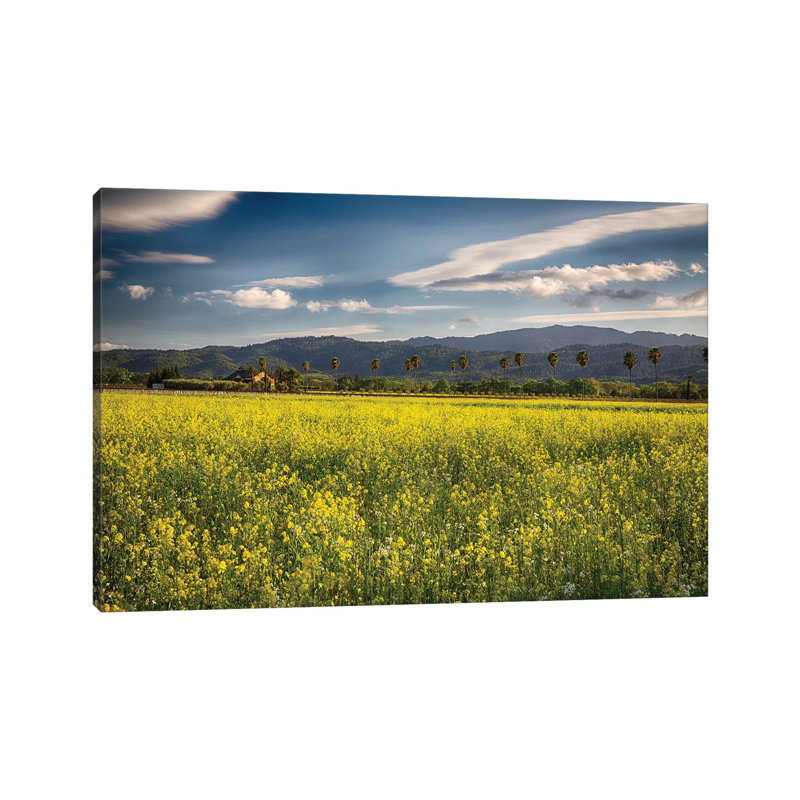 Napa Valley Spring Vista with Blooming Yellow Mustard 1 Piece Wrapped Canvas Wall Art, 20.32 cm H x 30.48 cm W