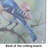 Blue Jay Glass Cutting Board