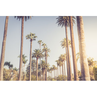Palms Of Beverly Hills - Wrapped Canvas Print