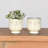 Ceramic Face Cachepot-1175609609