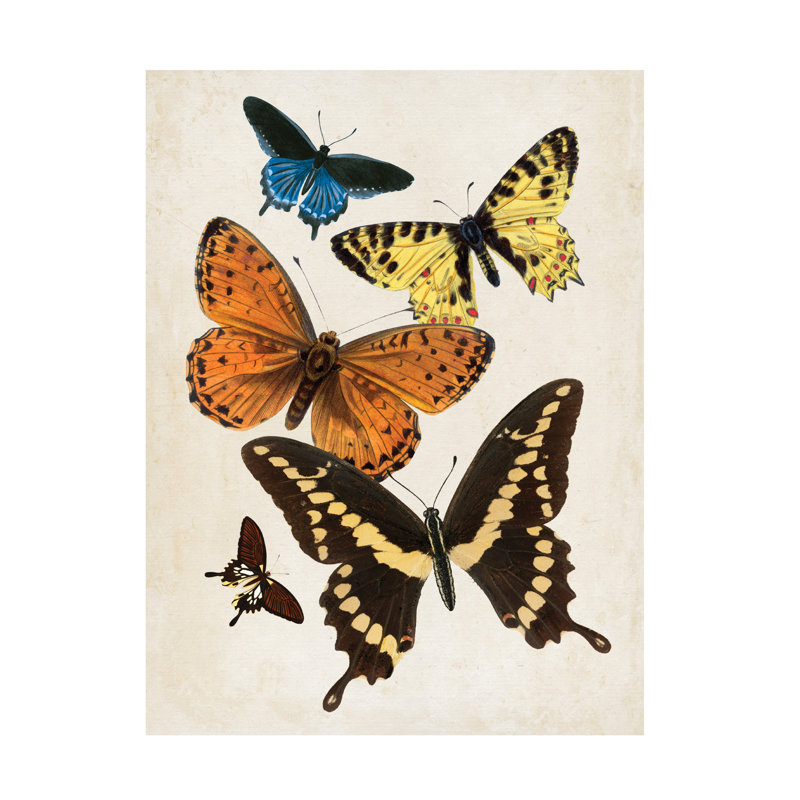 Papillon rétro I, H 24 po x l 18 po x P 2 po