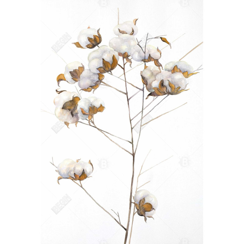 «Cotton Flowers Branch» sur toile