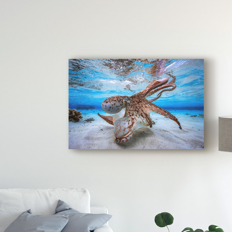 « danse octopus », reproduction de photo sur toile tendue, H 30 po x l 47 po x P 2 po