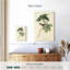 Bruant des marais Brampt-108452237