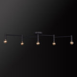 Ensemble de rail d'éclairage 5 lumières Tempo 41 "