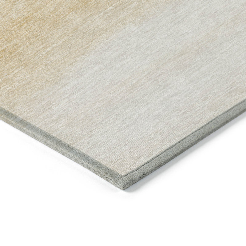 Machine Washable Indoor/Outdoor Christain ACN1253 Coral Rug, Rectangle 10' x 14'