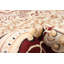 Tapis unique en laine noué à la main brun clair nouvel âge pako 9 pi 9 po x 13 pi 6 po New Age