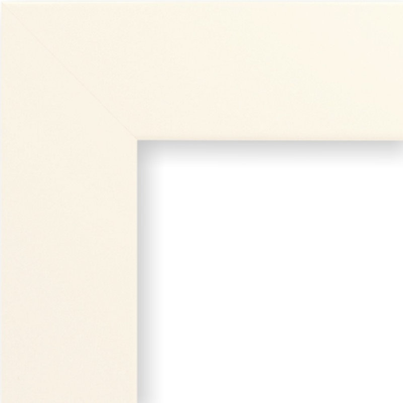 Matte Picture Frame, 18x24, Black