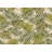 Floral Indoor Rug-2076617596