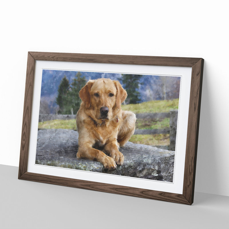 Golden Labrador Dog Vol.2 - Framed Print, 27cm H x 36cm W x 2cm D, Walnut Framed