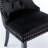 Fioretto 20'' H Tufted Upholstered Dining Chair-67636627-133526823