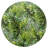 Sunshine Tropical Plants Outdoor Rugs Green-83535412