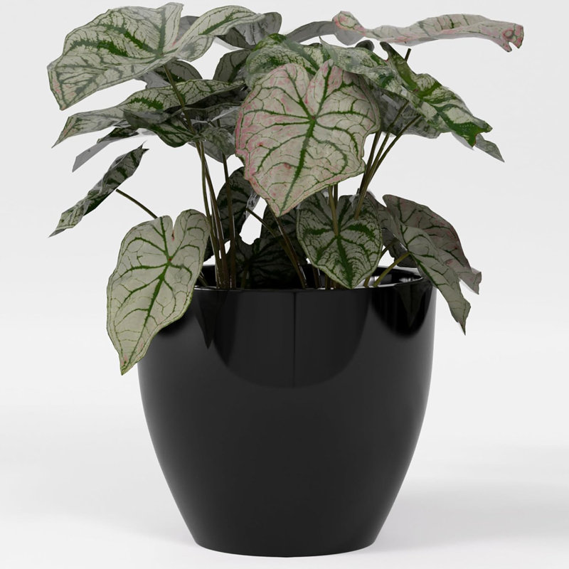 Greenline Fiberglass Lucy Large Indoor/Outdoor Round Planter -, Gloss Black, 34" H x 39" W x 39" D
