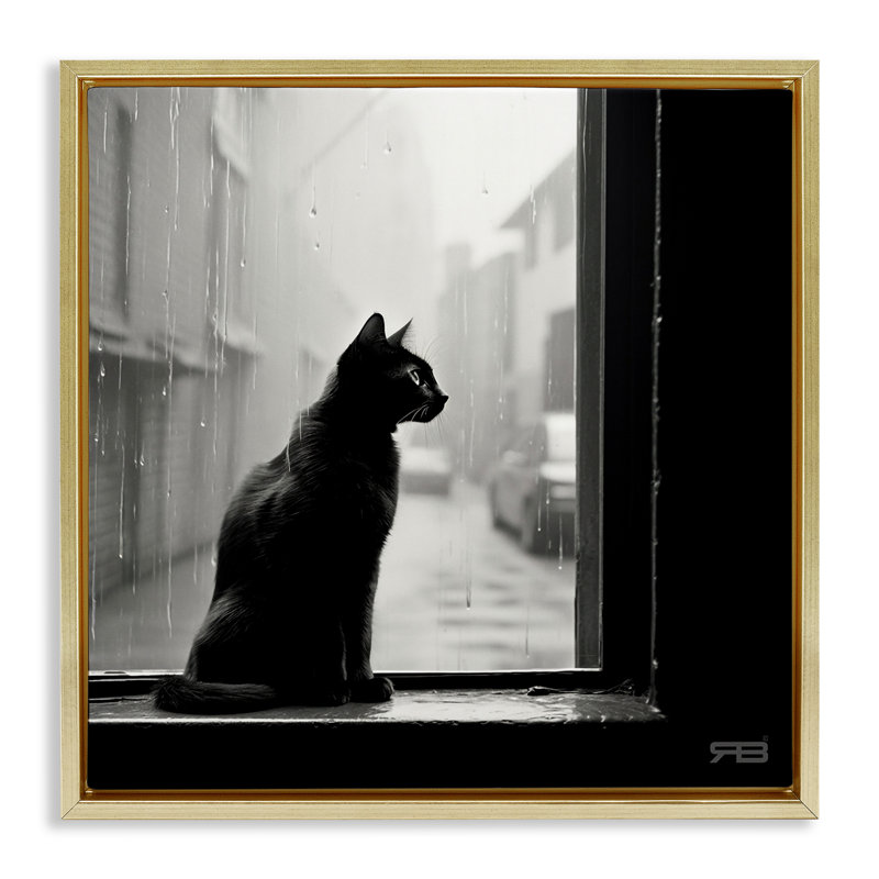 «Cat Gazing Rainy Window» par Roozbeh Bahramali, Cadre flottant noir de jais, H 25 po x l 25 po