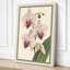 Orchids in Bloom Botanical - Wrapped Canvas-2065504260-2065504266