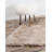 Starlet Oriental Indoor Rug-40284541