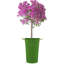 Vase de table Marland-21963775